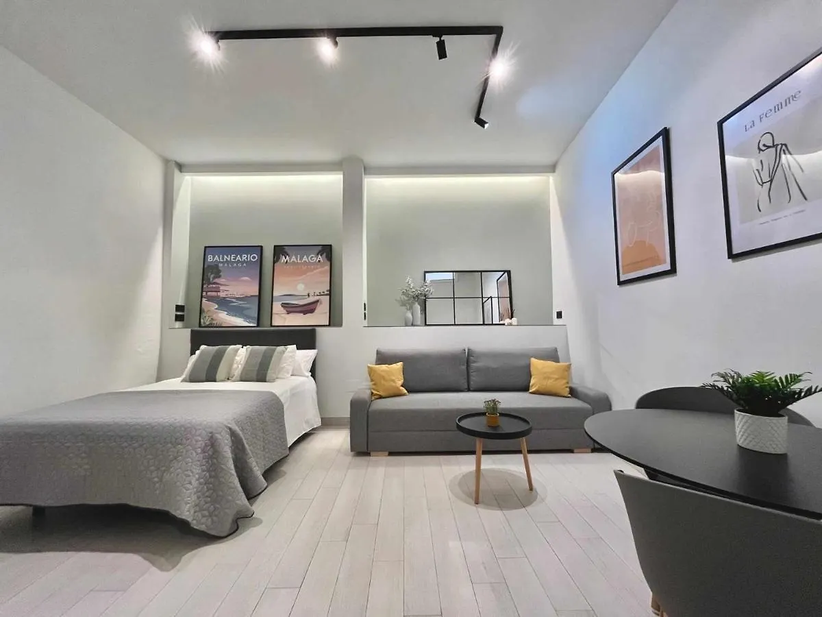 Mena Moderno Loft En El Corazon De Malaga Apartment